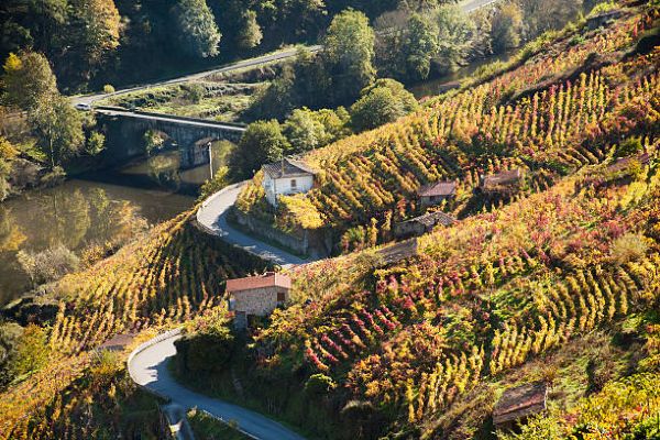 Ribeira Sacra Viñedo y Rio Miño Jesus Tellez Afuegolento