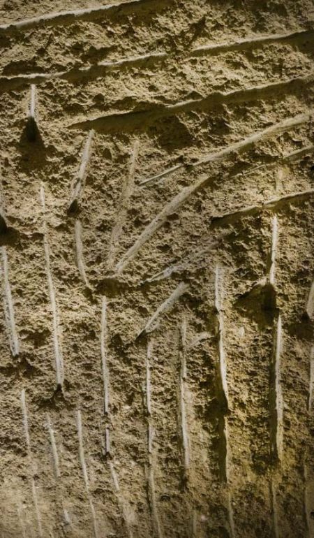 Raices Viña Champagne